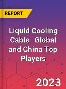 Liquid Cooling Cable Global and China Top Players Market