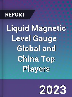 Liquid Magnetic Level Gauge Global and China Top Players Market