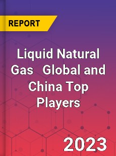 Liquid Natural Gas Global and China Top Players Market