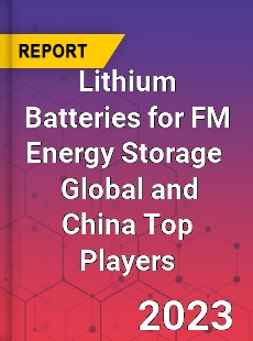 Lithium Batteries for FM Energy Storage Global and China Top Players Market