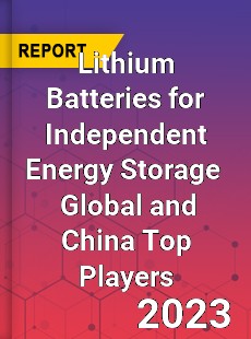 Lithium Batteries for Independent Energy Storage Global and China Top Players Market