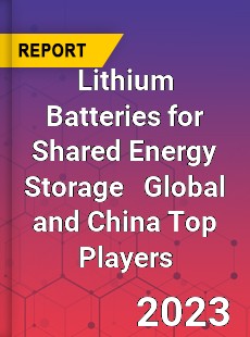 Lithium Batteries for Shared Energy Storage Global and China Top Players Market