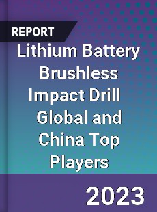 Lithium Battery Brushless Impact Drill Global and China Top Players Market