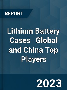 Lithium Battery Cases Global and China Top Players Market