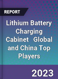 Lithium Battery Charging Cabinet Global and China Top Players Market