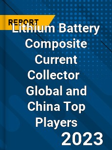 Lithium Battery Composite Current Collector Global and China Top Players Market