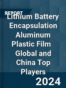 Lithium Battery Encapsulation Aluminum Plastic Film Global and China Top Players Market