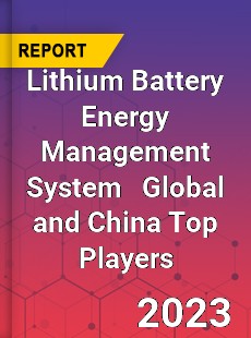 Lithium Battery Energy Management System Global and China Top Players Market