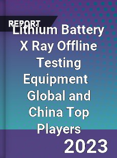 Lithium Battery X Ray Offline Testing Equipment Global and China Top Players Market