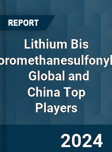 Lithium Bis Imide Global and China Top Players Market