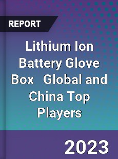 Lithium Ion Battery Glove Box Global and China Top Players Market