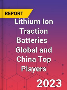 Lithium Ion Traction Batteries Global and China Top Players Market