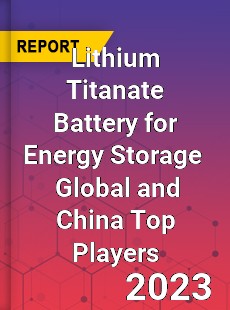 Lithium Titanate Battery for Energy Storage Global and China Top Players Market