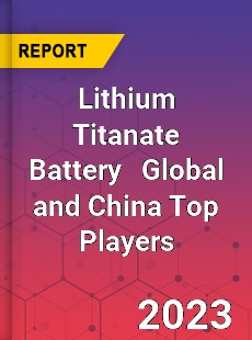 Lithium Titanate Battery Global and China Top Players Market