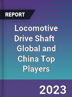 Locomotive Drive Shaft Global and China Top Players Market