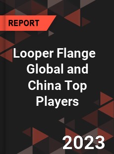 Looper Flange Global and China Top Players Market