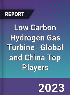 Low Carbon Hydrogen Gas Turbine Global and China Top Players Market