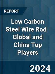 Low Carbon Steel Wire Rod Global and China Top Players Market