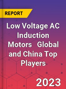 Low Voltage AC Induction Motors Global and China Top Players Market