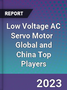 Low Voltage AC Servo Motor Global and China Top Players Market