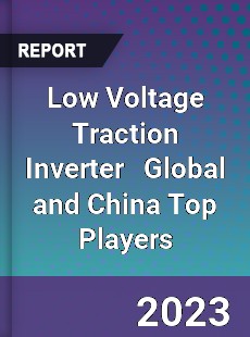 Low Voltage Traction Inverter Global and China Top Players Market