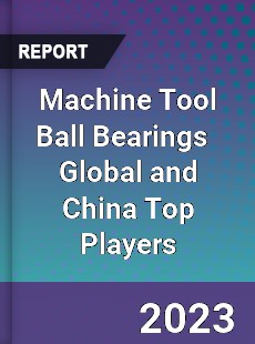 Machine Tool Ball Bearings Global and China Top Players Market