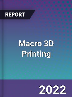 Macro 3D Printing Market