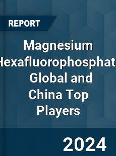 Magnesium Hexafluorophosphate Global and China Top Players Market