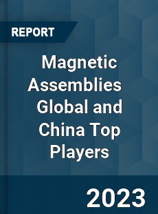 Magnetic Assemblies Global and China Top Players Market