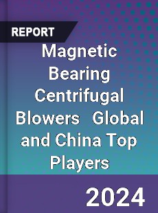 Magnetic Bearing Centrifugal Blowers Global and China Top Players Market