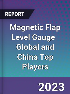 Magnetic Flap Level Gauge Global and China Top Players Market