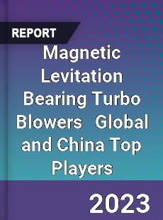 Magnetic Levitation Bearing Turbo Blowers Global and China Top Players Market