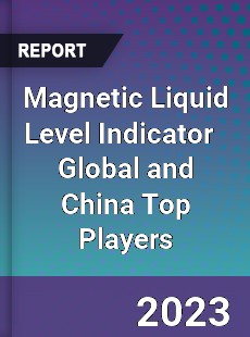 Magnetic Liquid Level Indicator Global and China Top Players Market