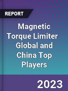 Magnetic Torque Limiter Global and China Top Players Market