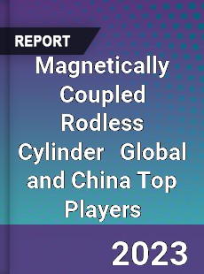 Magnetically Coupled Rodless Cylinder Global and China Top Players Market