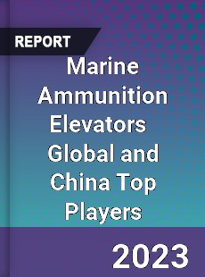 Marine Ammunition Elevators Global and China Top Players Market