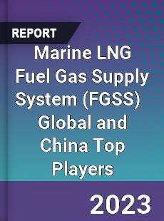 Marine LNG Fuel Gas Supply System Global and China Top Players Market