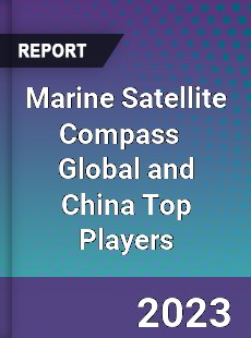 Marine Satellite Compass Global and China Top Players Market