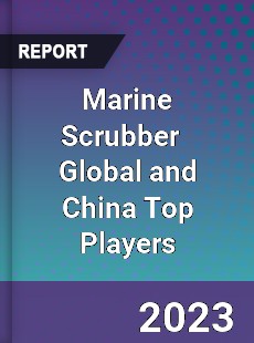 Marine Scrubber Global and China Top Players Market