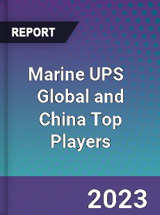 Marine UPS Global and China Top Players Market