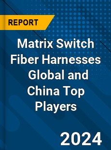 Matrix Switch Fiber Harnesses Global and China Top Players Market