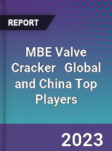 MBE Valve Cracker Global and China Top Players Market