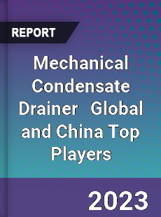 Mechanical Condensate Drainer Global and China Top Players Market