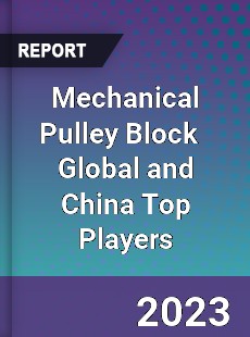 Mechanical Pulley Block Global and China Top Players Market