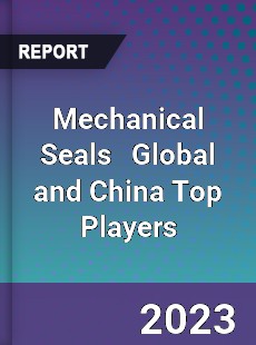 Mechanical Seals Global and China Top Players Market