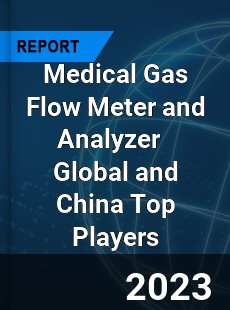 Medical Gas Flow Meter and Analyzer Global and China Top Players Market