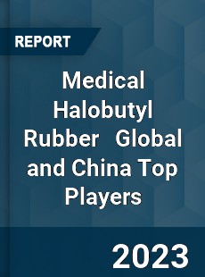 Medical Halobutyl Rubber Global and China Top Players Market