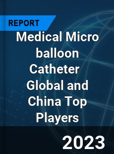 Medical Micro balloon Catheter Global and China Top Players Market