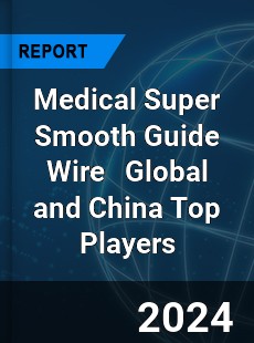 Medical Super Smooth Guide Wire Global and China Top Players Market