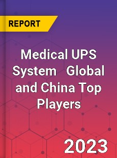 Medical UPS System Global and China Top Players Market